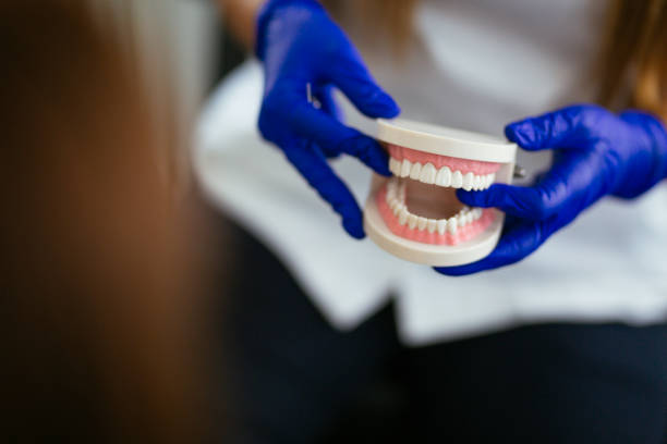 Best Dental Inlays and Onlays  in Maitland, FL