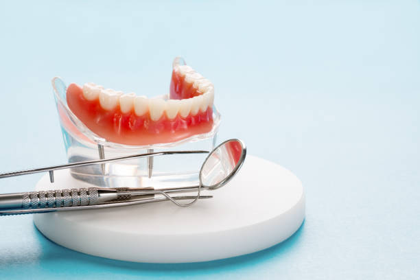 Best Pediatric Dentistry  in Maitland, FL